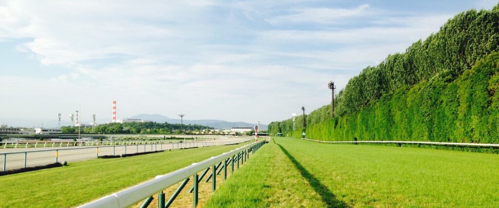 競馬場とコースの分析イメージ